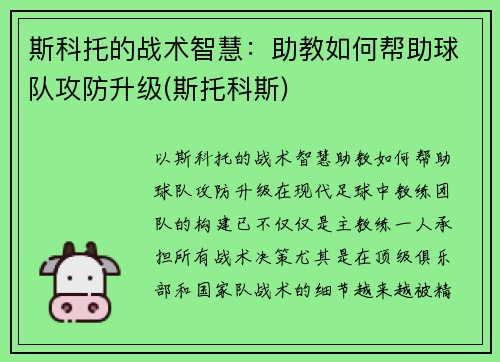 斯科托的战术智慧：助教如何帮助球队攻防升级(斯托科斯)