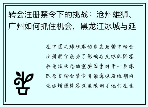 转会注册禁令下的挑战：沧州雄狮、广州如何抓住机会，黑龙江冰城与延边龙鼎的反思之路