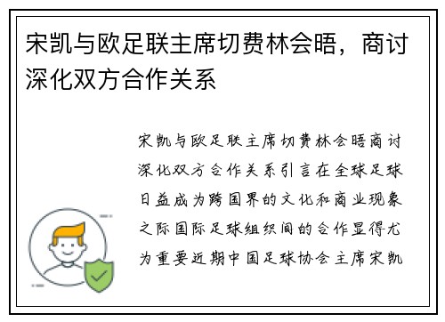 宋凯与欧足联主席切费林会晤，商讨深化双方合作关系